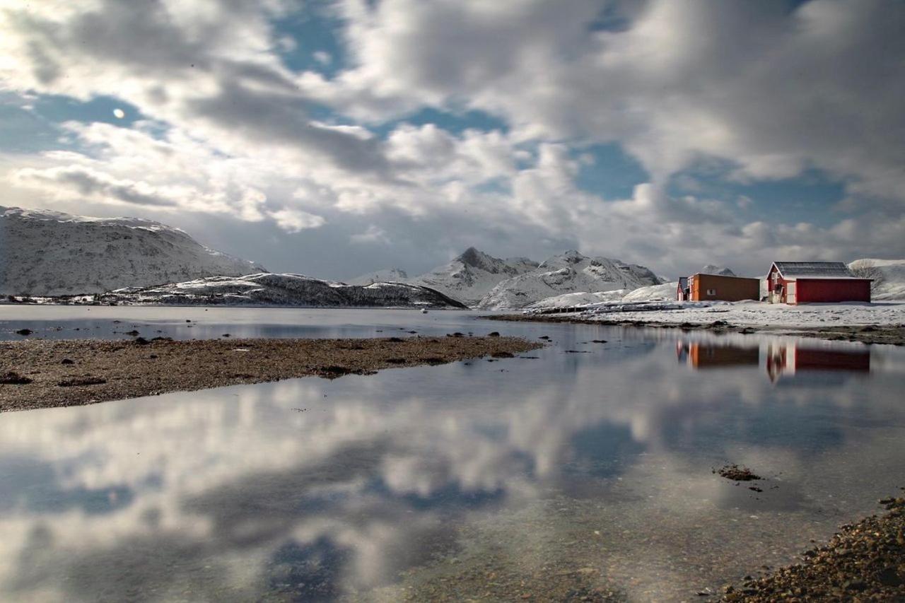 Storjord Farmstay Ranchhouse Kvaloya Esterno foto