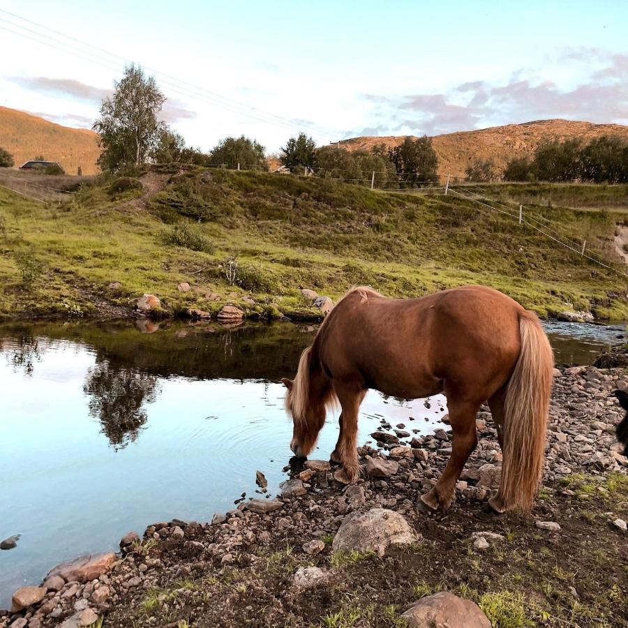 Storjord Farmstay Ranchhouse Kvaloya Esterno foto