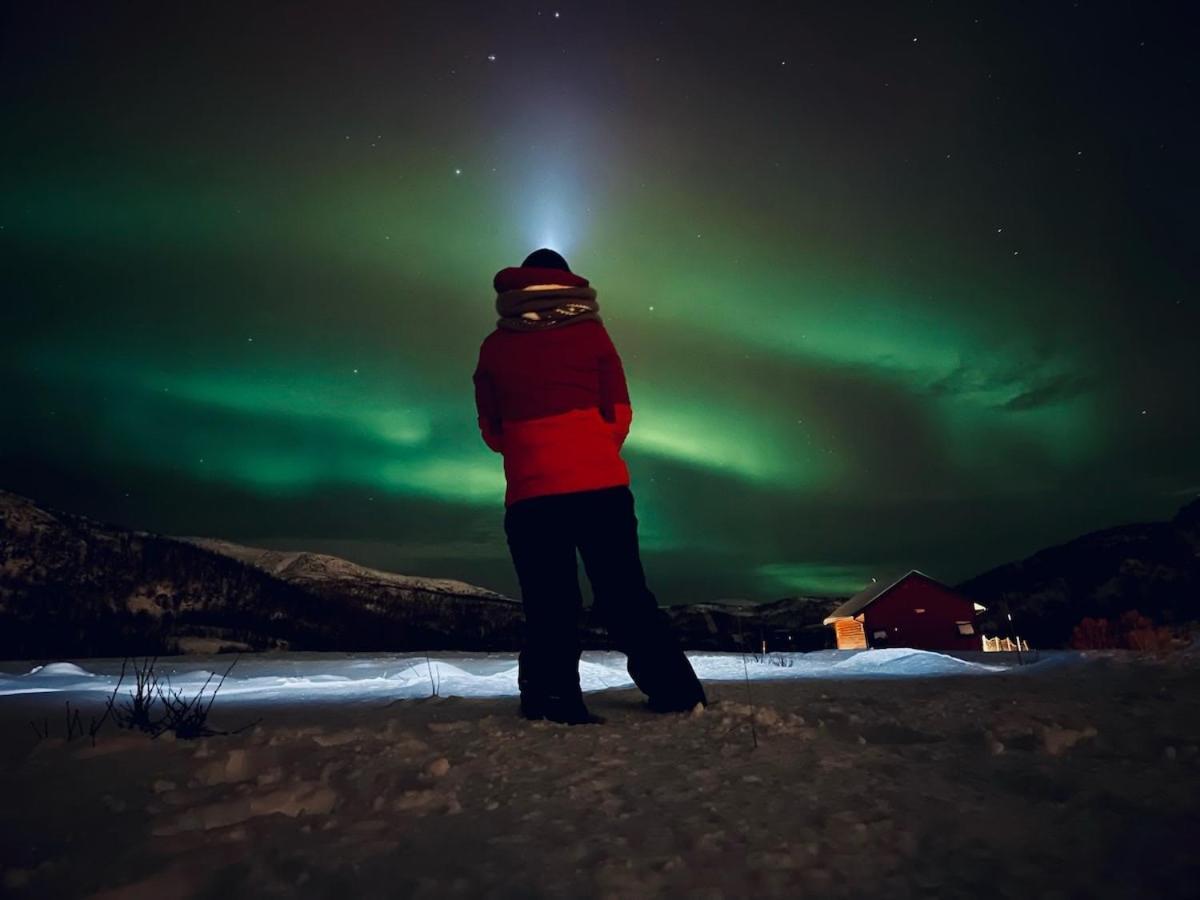 Storjord Farmstay Ranchhouse Kvaloya Esterno foto