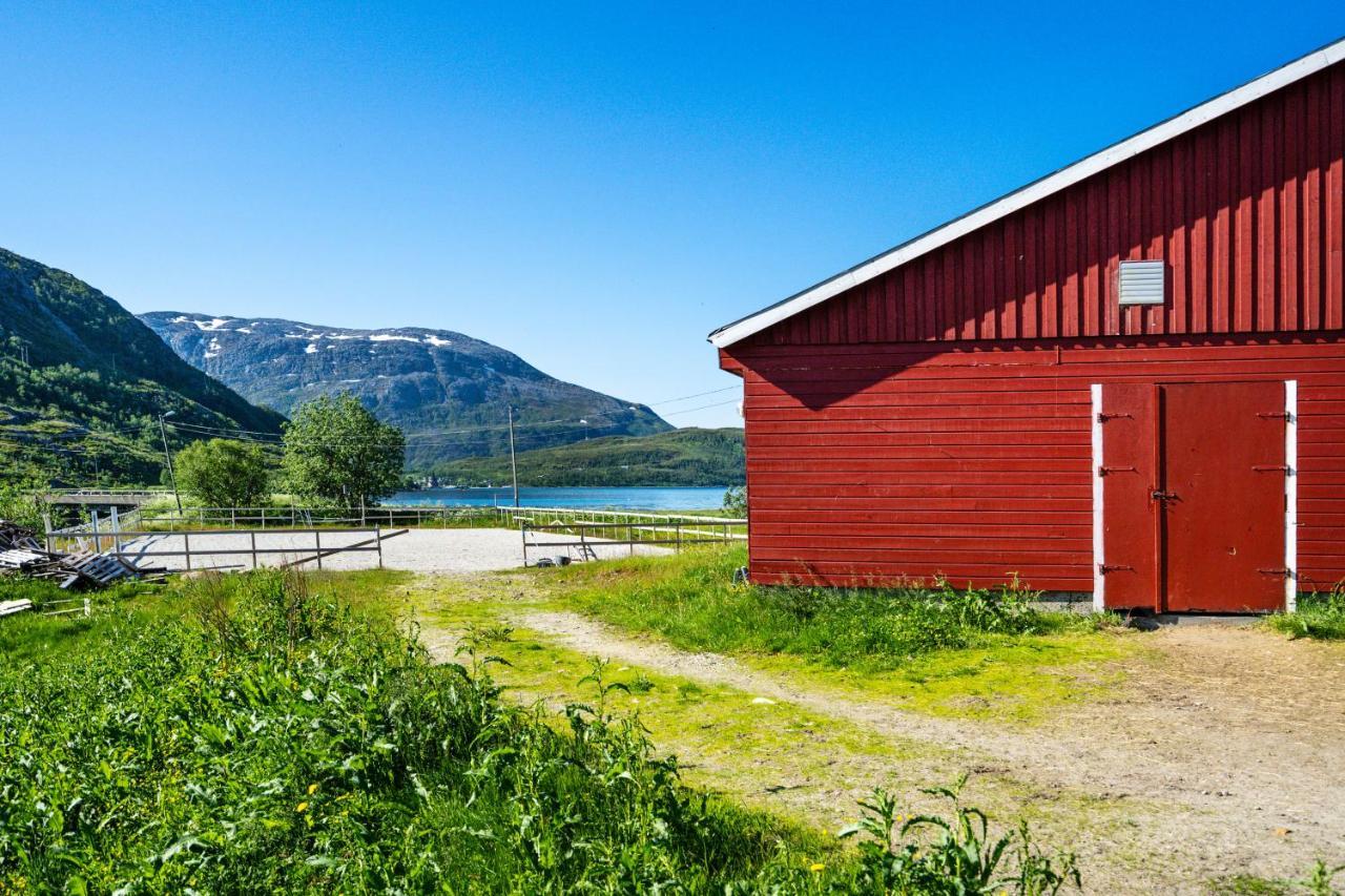 Storjord Farmstay Ranchhouse Kvaloya Esterno foto