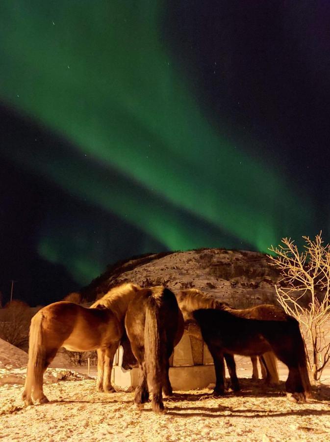 Storjord Farmstay Ranchhouse Kvaloya Esterno foto