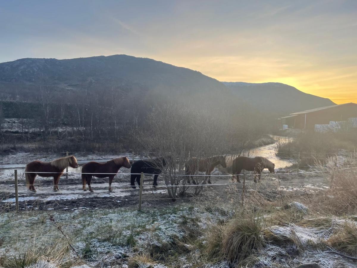 Storjord Farmstay Ranchhouse Kvaloya Esterno foto